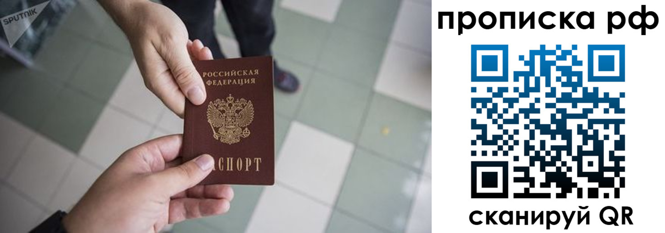 прописка гарантия в Ступино